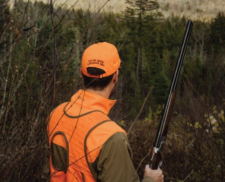 A grouse hunter pauses with an open shot opportunity.
