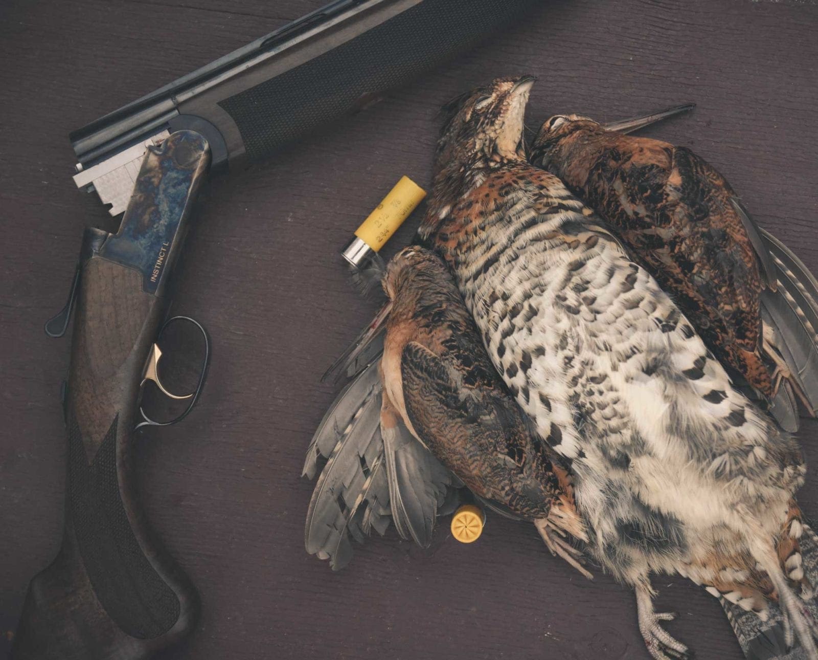 A shotgun with shotgun shells and a ruffed grouse on a table