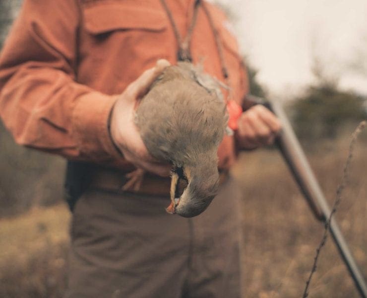 A hunter holds up a chukar from a preserve hunt