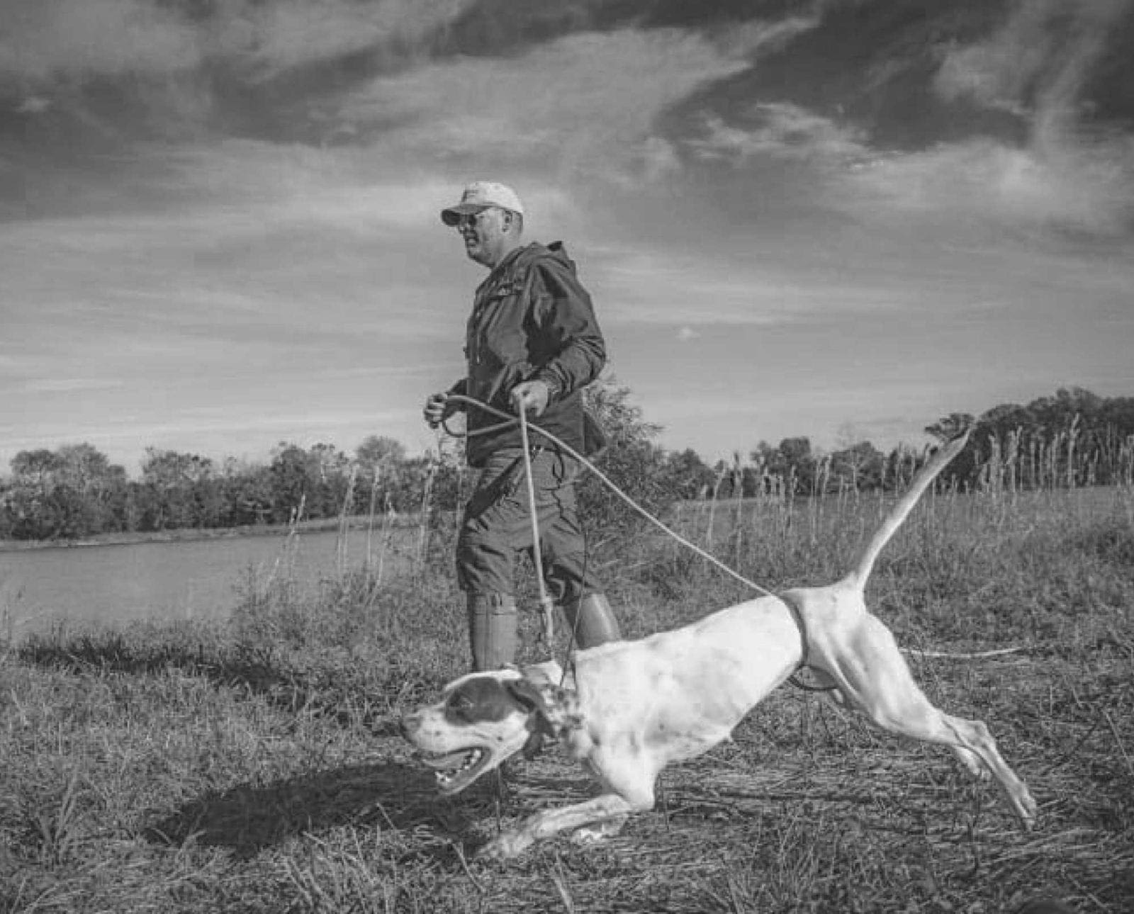 Steve Snell of Gun Dog Supply training a bird hunting dog.