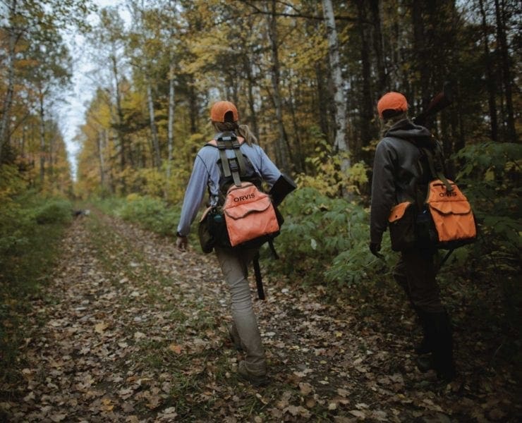 Two grouse hunters walk a logging road with their bird dogs.