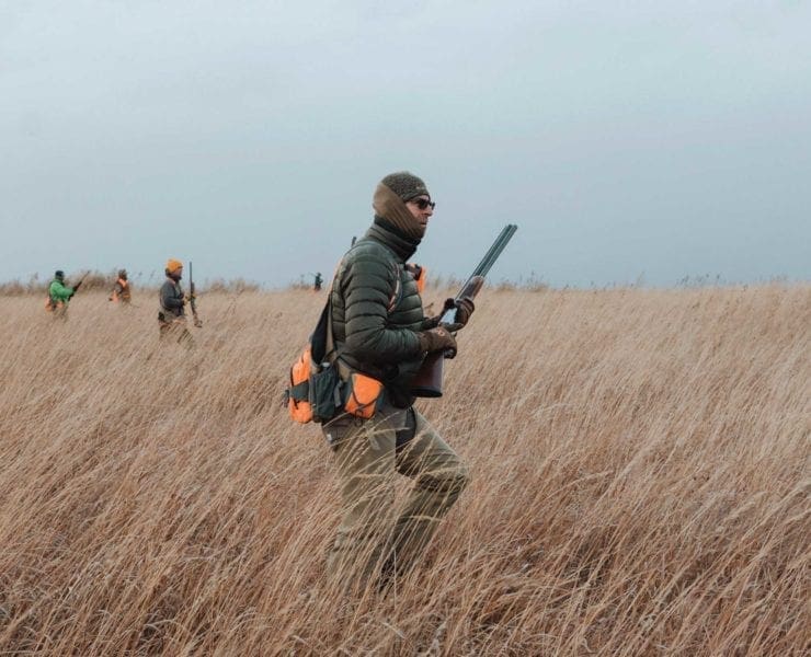 A group of bird hunters pushes a field for pheasant and quail.