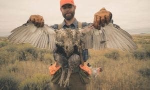 sage grouse hunting in montana