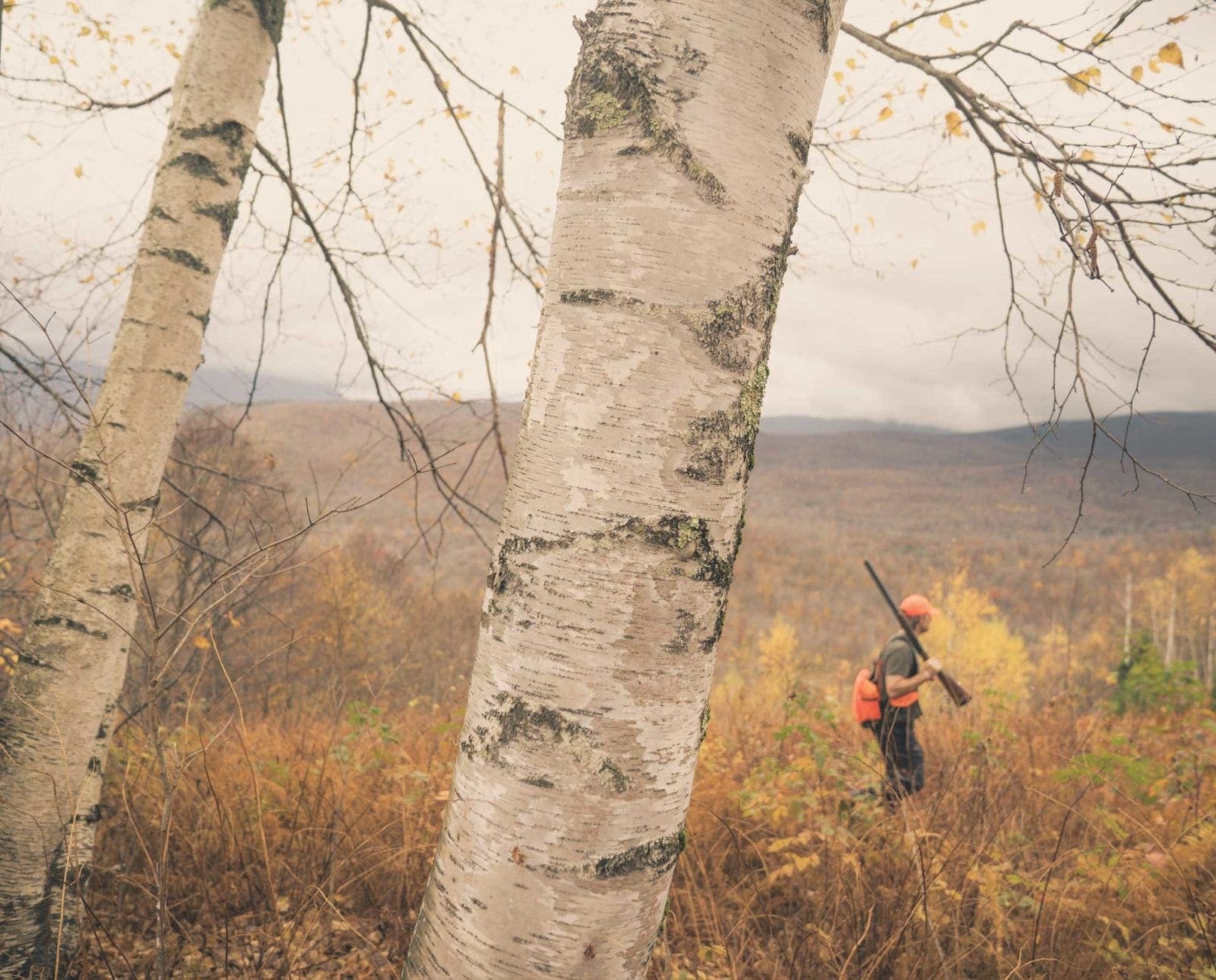 a bird hunter in the green mountains of Vermont.