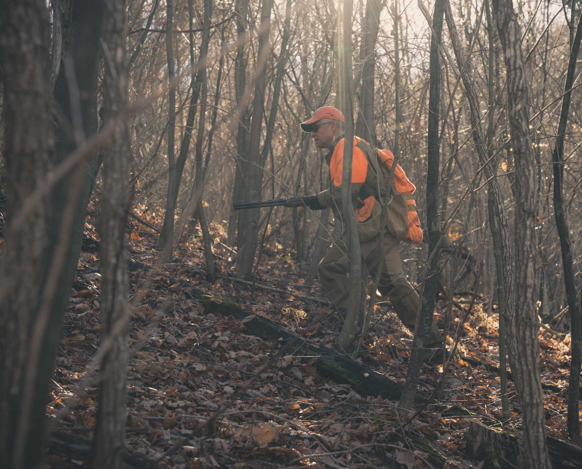 Bird Hunting in Virginia, Pheasant, Quail, Grouse, Woodcock, and More