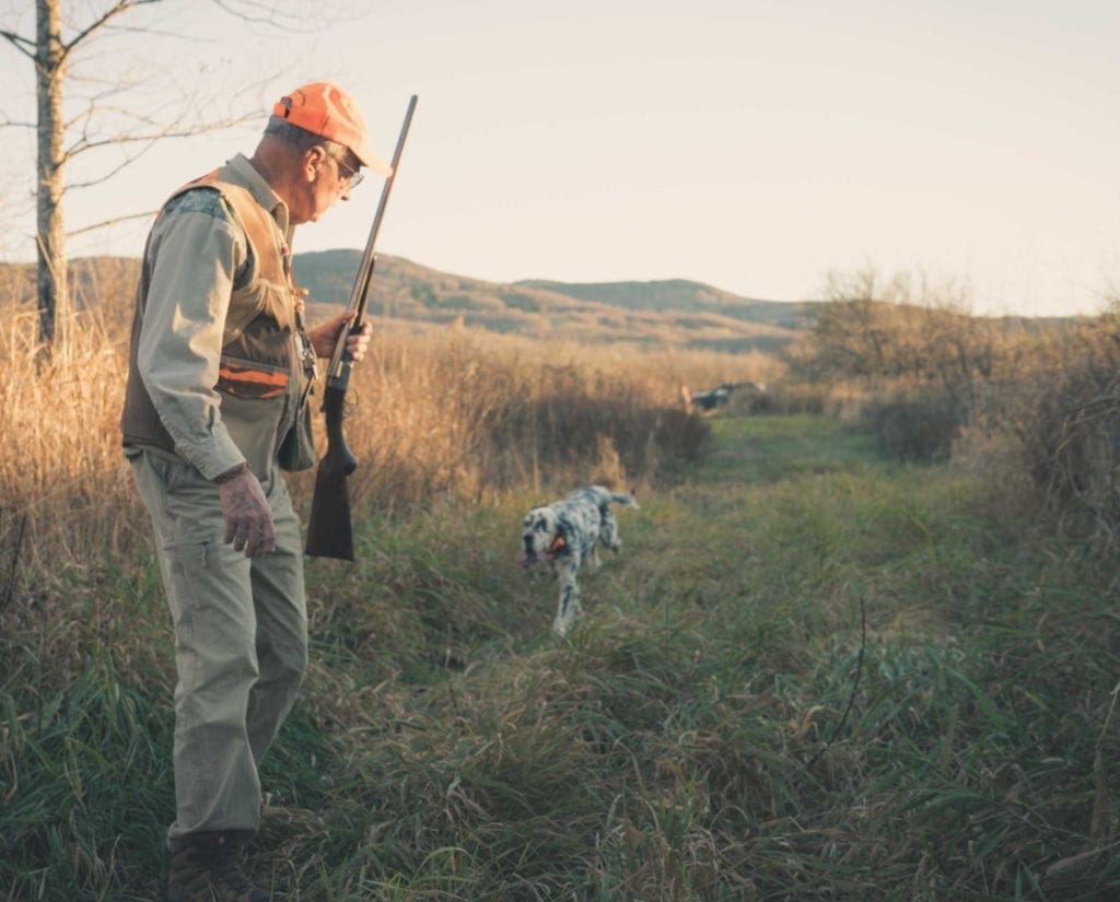 Bird Hunting in West Virginia, Grouse, Woodcock, Pheasant, and More