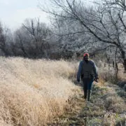 A bird hunter walks the edge of a field in Missouri.