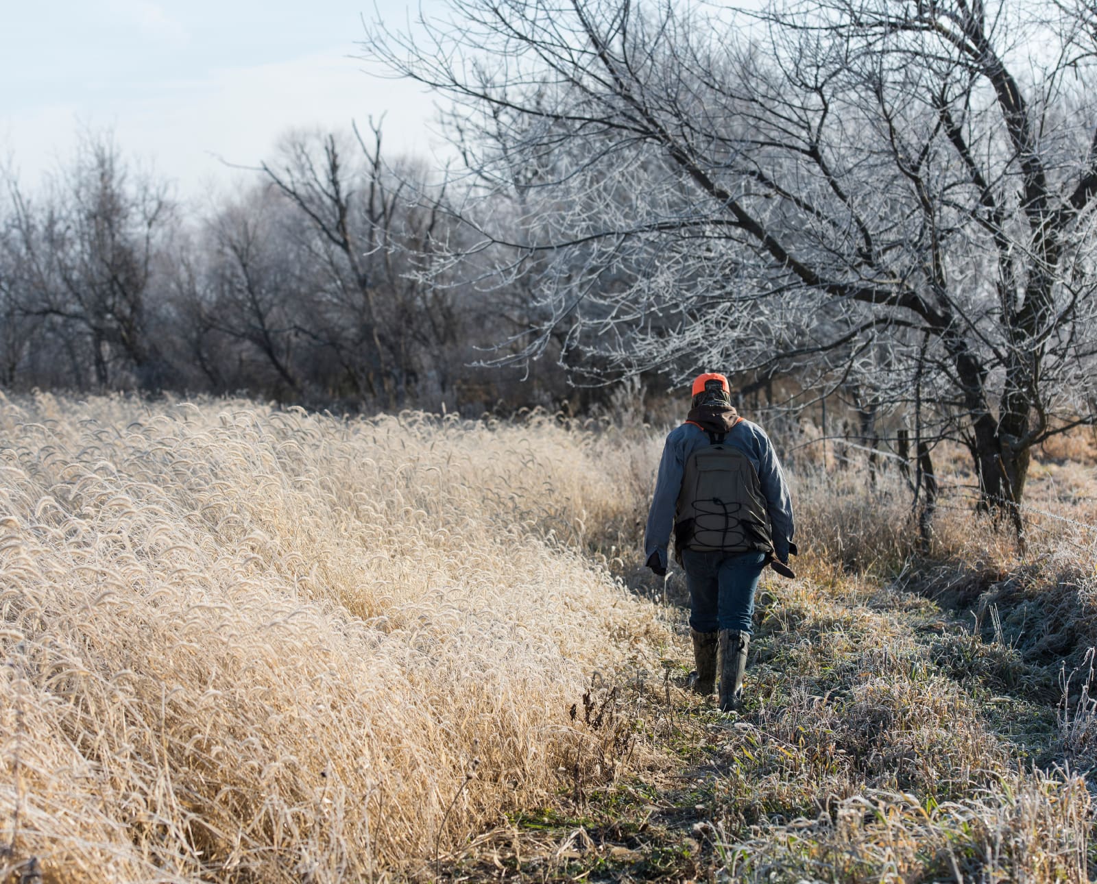 A bird hunter walks the edge of a field in Missouri.