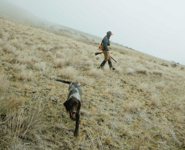 The author hunts the mountains with her bird dog.