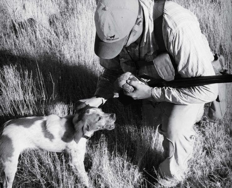 An upland hunter with a Brittany and Hungarian partridge in Idaho