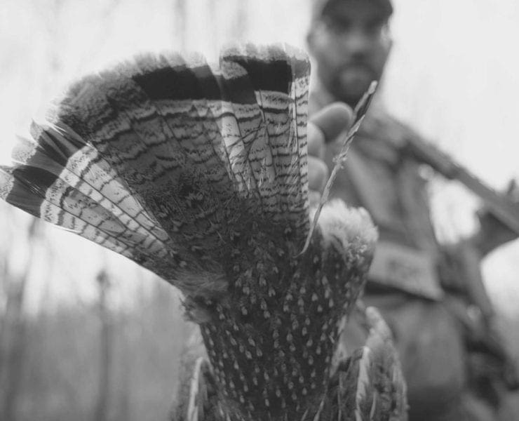 An upland bird hunter holding a ruffed grouse