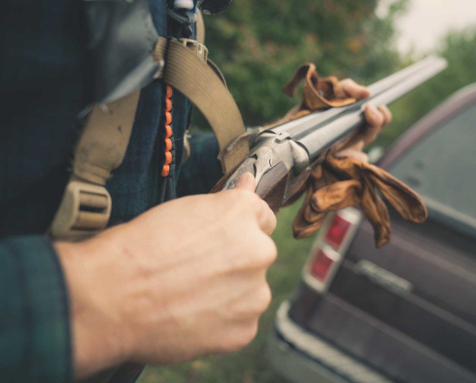 A bird hunter taking a shotgun from his truck.