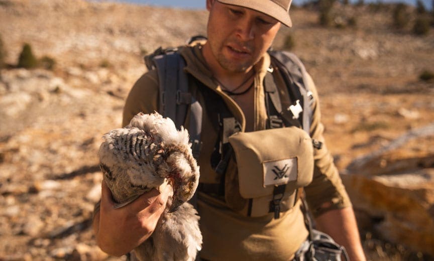 Nevada Snowcock Hunting