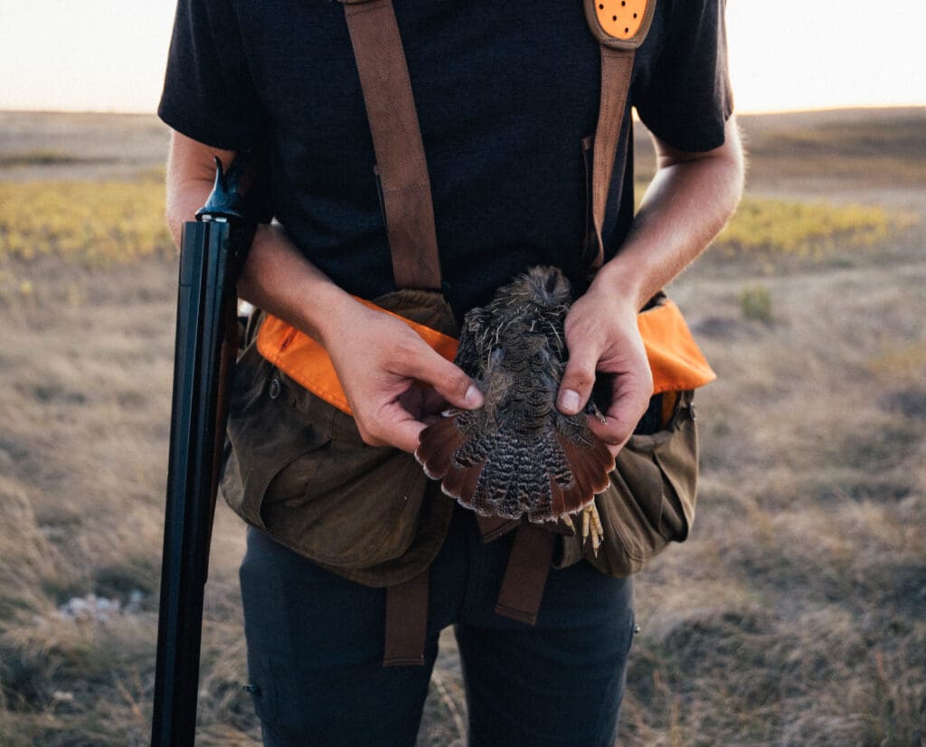 A hunter in Montana shows a Hungarian Partridge. 