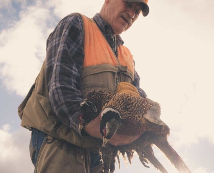 a bird hunter in Washington state with two ring-necked pheasant