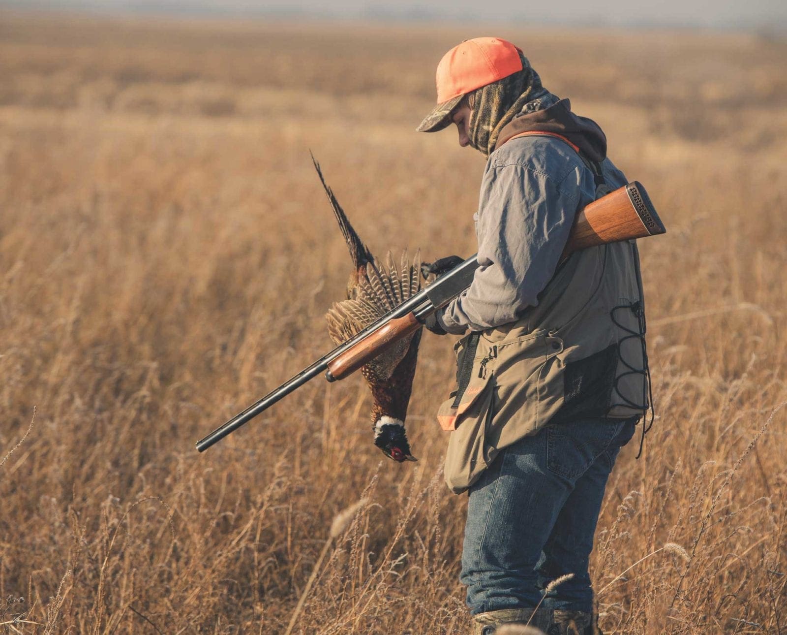A bird hunter holds up a pheasant.
