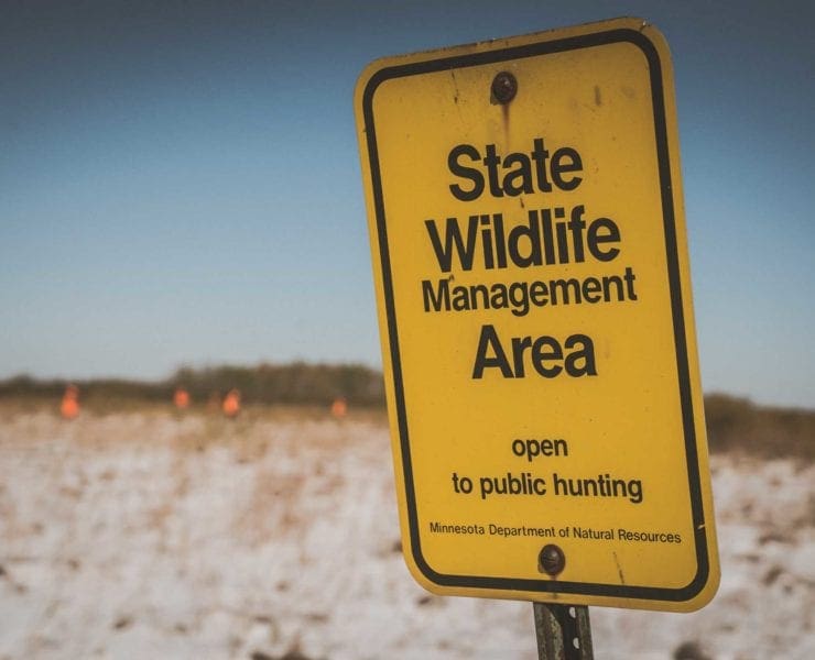 Bid hunters hunting on public lands