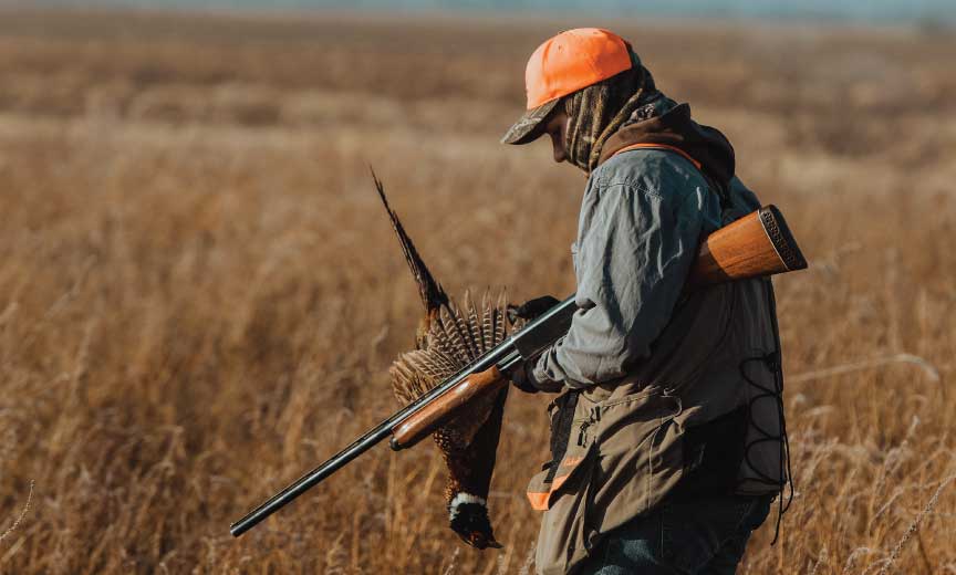 A pheasant hunter using a pump shotgun. 