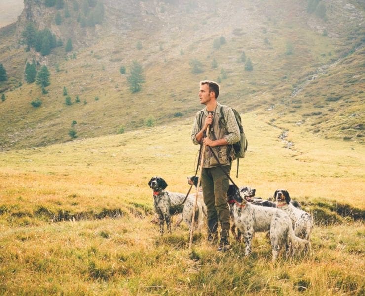 An Italian hunter walks his Setters in the Alps.