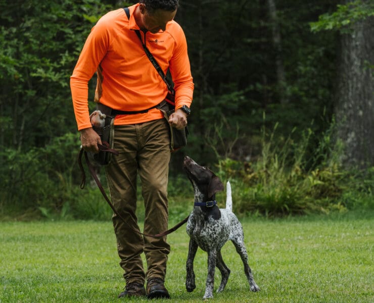 A dog trainer works to refocus a dog for successful training.