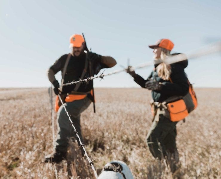 Two bird hunters work to safely cross a barbed wire fence