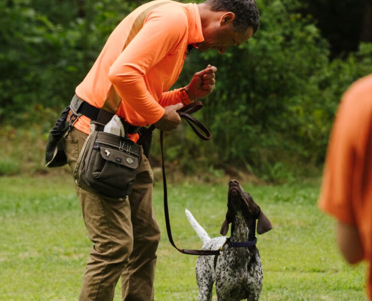 A dog trainer uses a dog treat to reward proper behavior