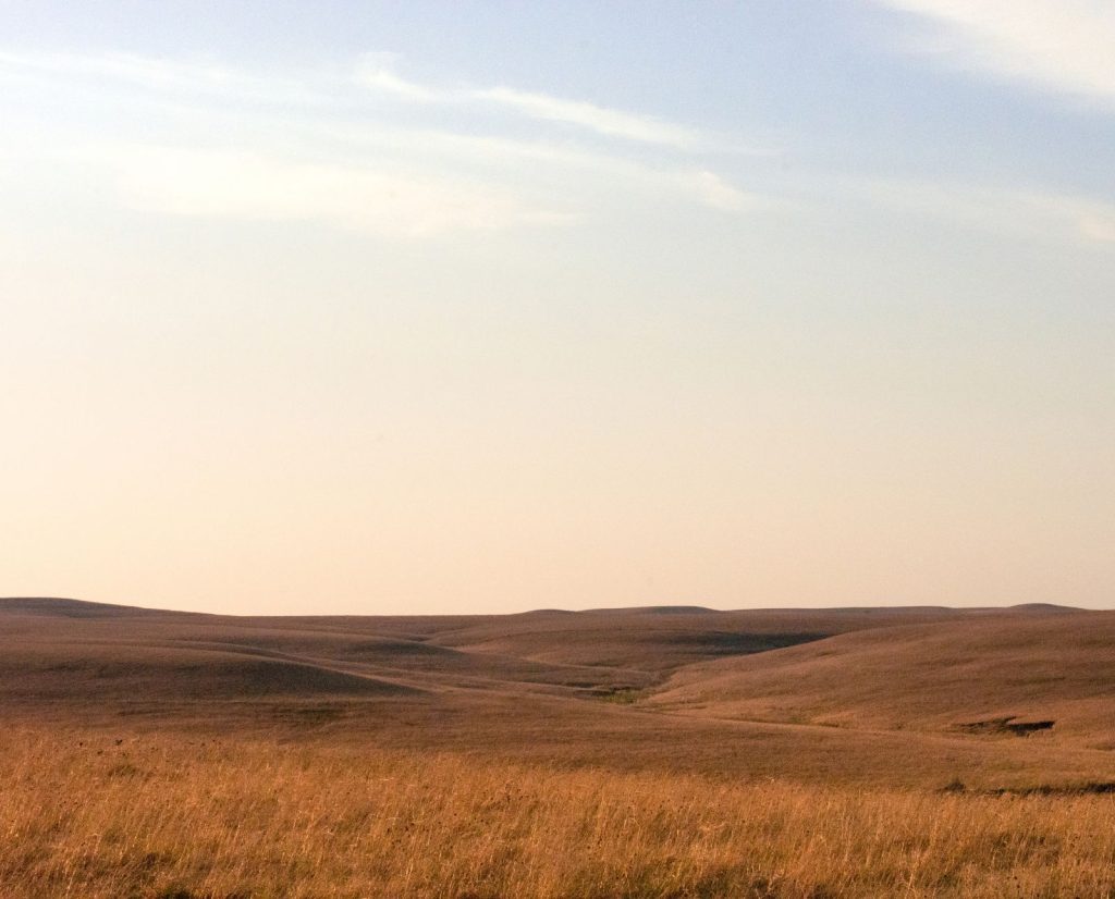 Grasses flowing over the rolling Kansas prairie.