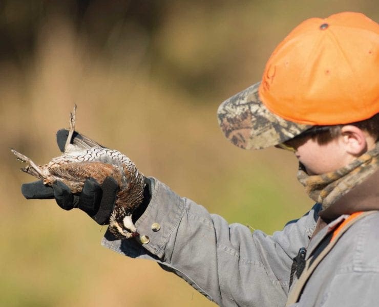 A hunter shows a bobwhite quail shot in Alabama