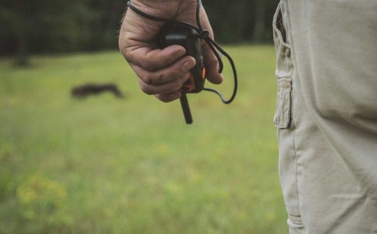 A bird dog trainer uses correct timing to correct a gun dog in the field.