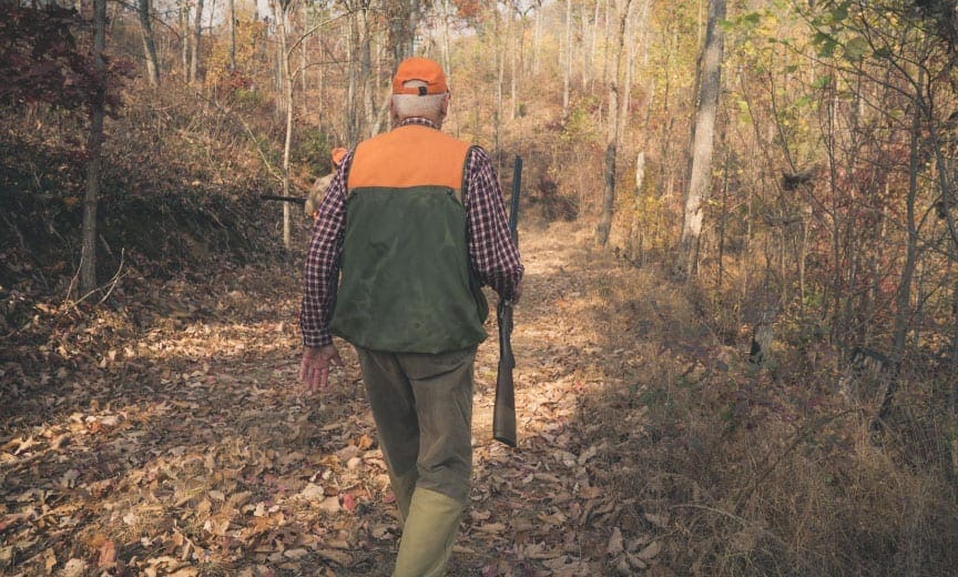 a ruffed grouse hunter walking on public lands in Georgia