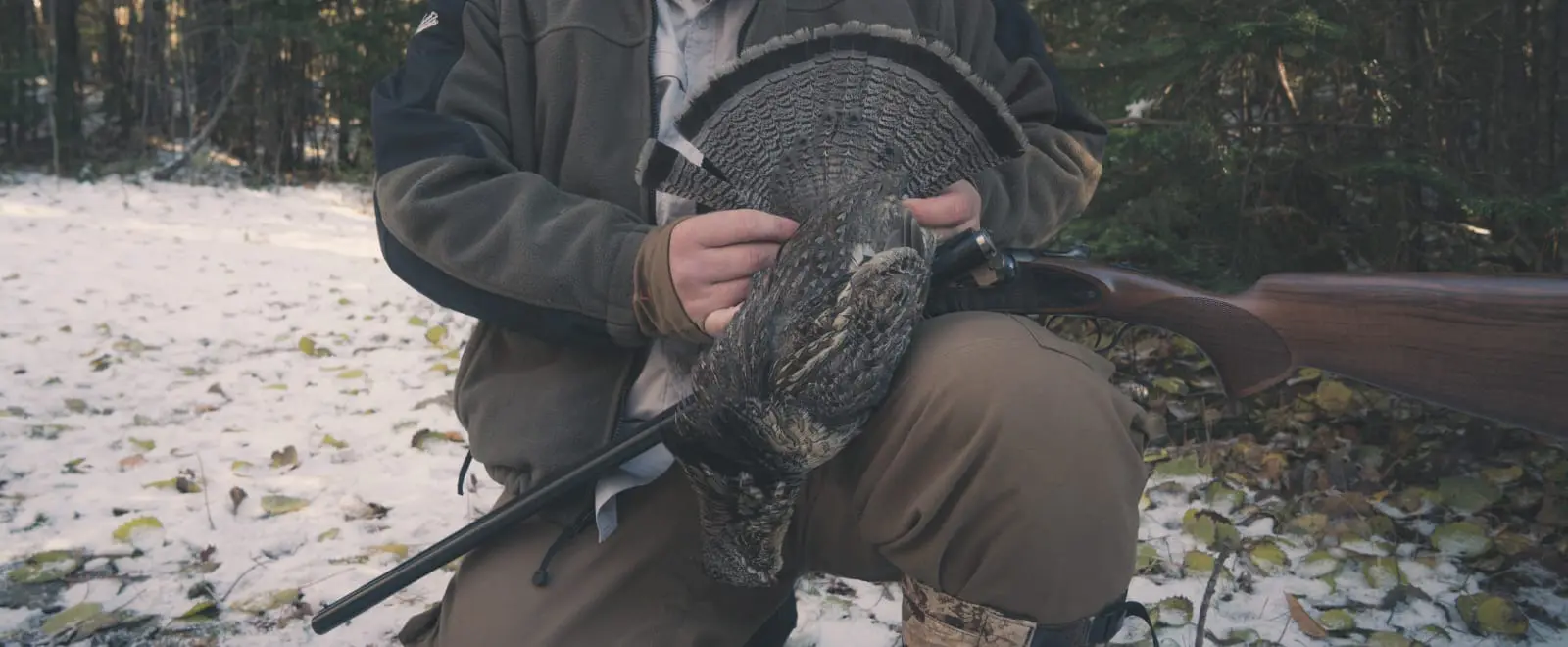 how to hunt ruffed grouse