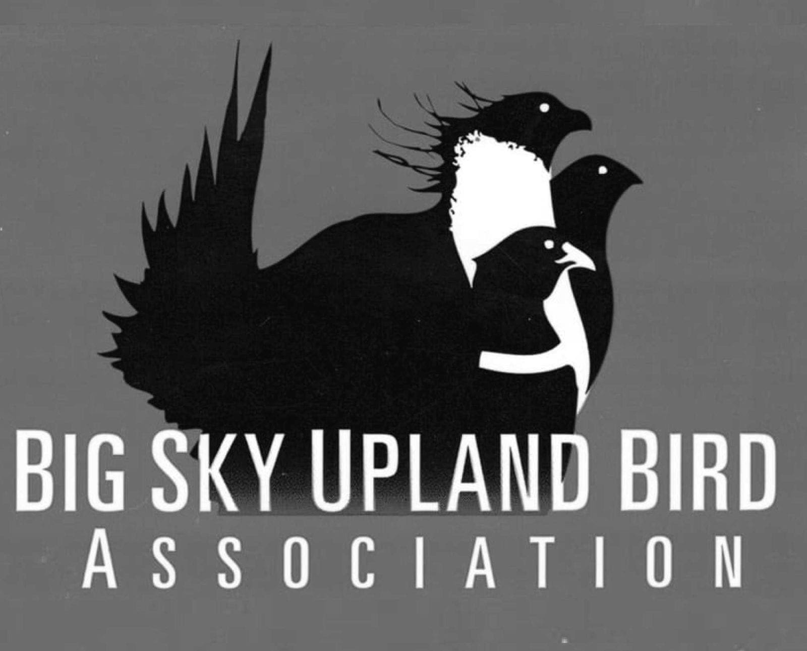 Big Sky Upland Bird Association logo