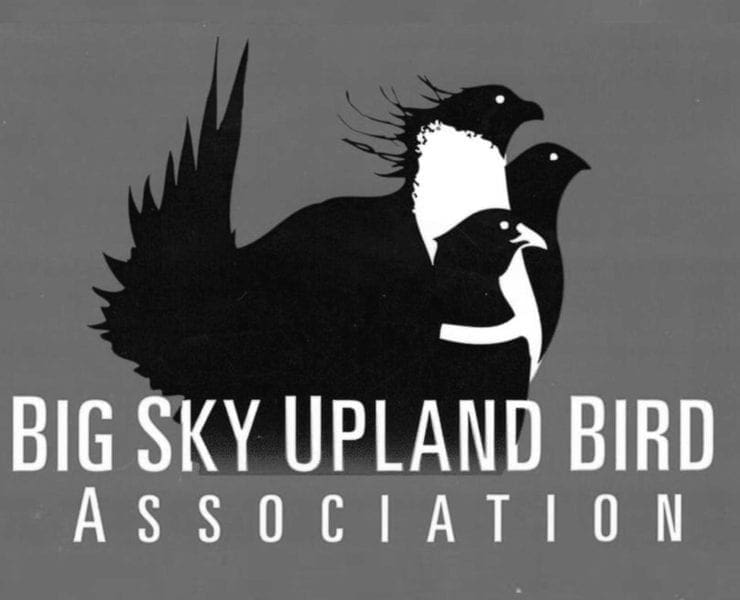 Big Sky Upland Bird Association logo