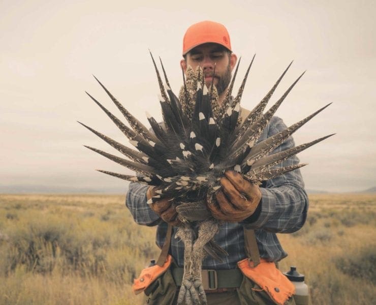 A sage grouse hunter hunting in sage grouse habitat.