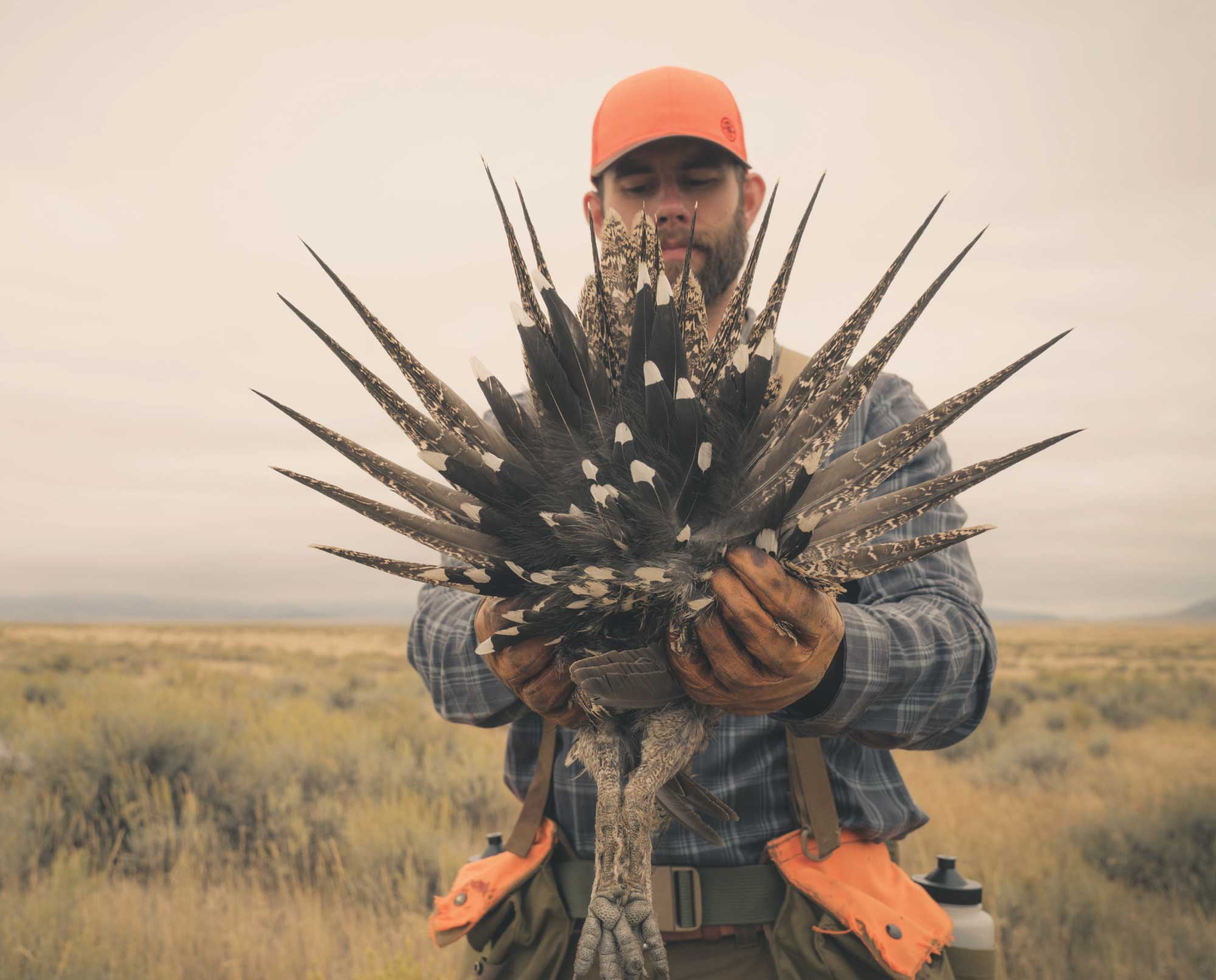 How to Identify Sage Grouse Habitat - Project Upland Magazine