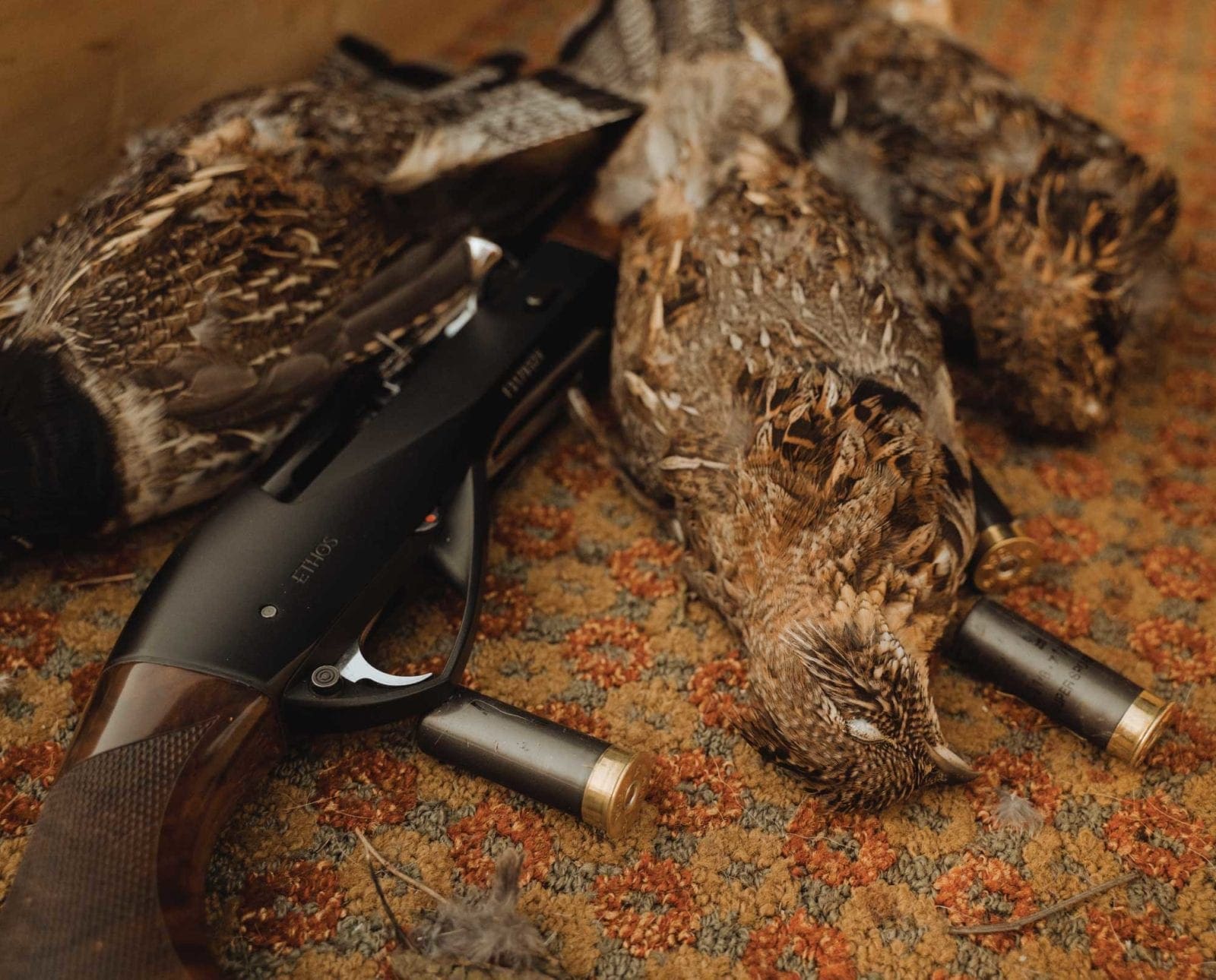 a ruffed grouse hunt using a semi-automatic shotgun.