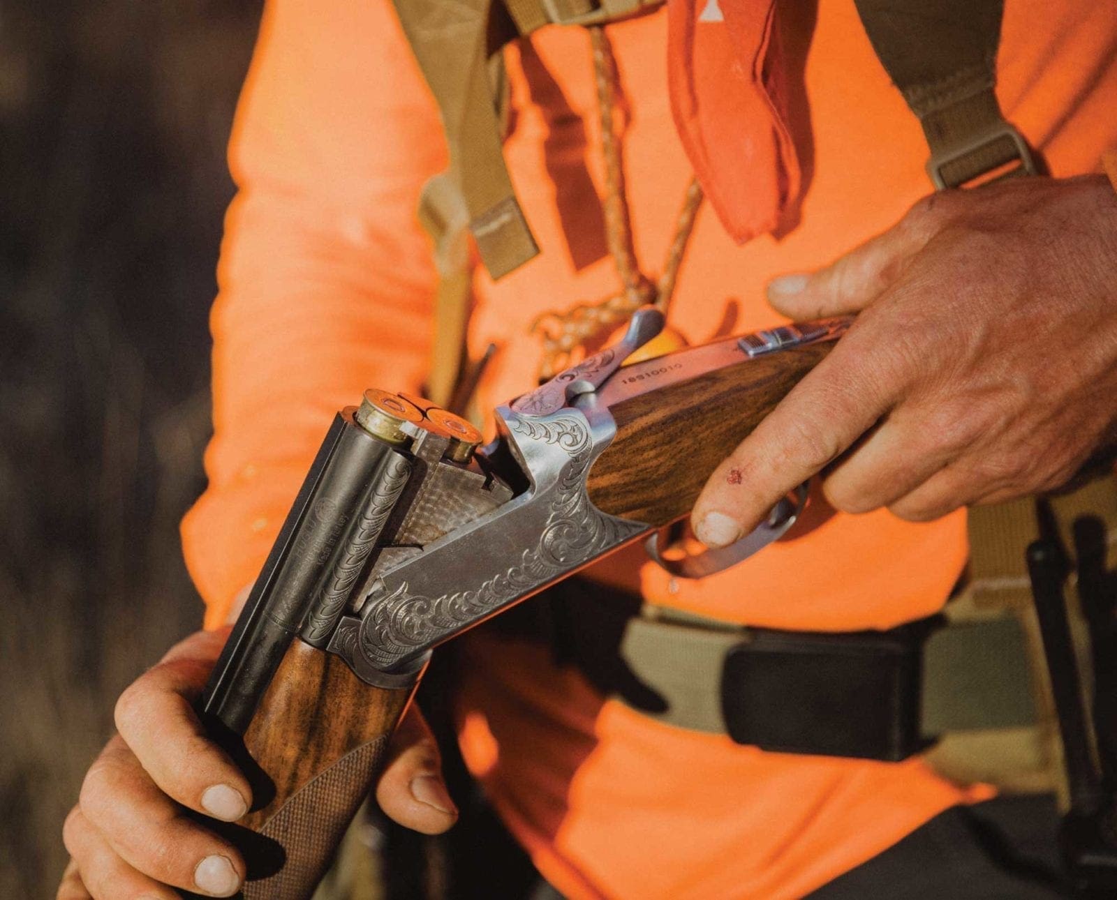 A CZ Supreme Field being used on Southwest quail hunt.