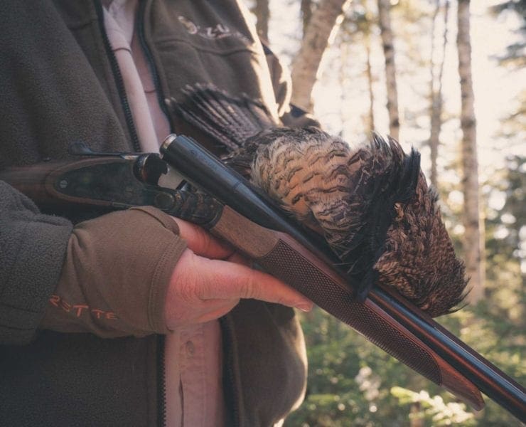 A woodcock hunter in New Hampshire during October bird season.