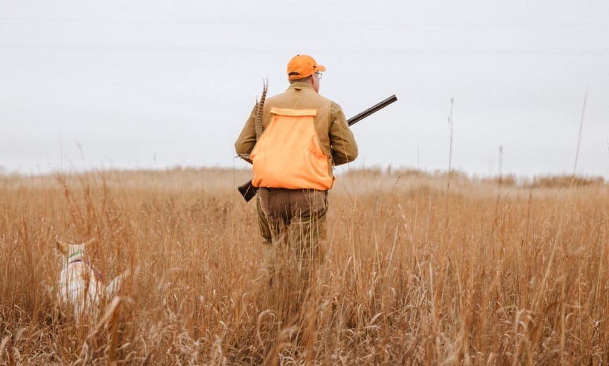 Wild game Chef Hank Shaw hunting pheasant in Kansas. 