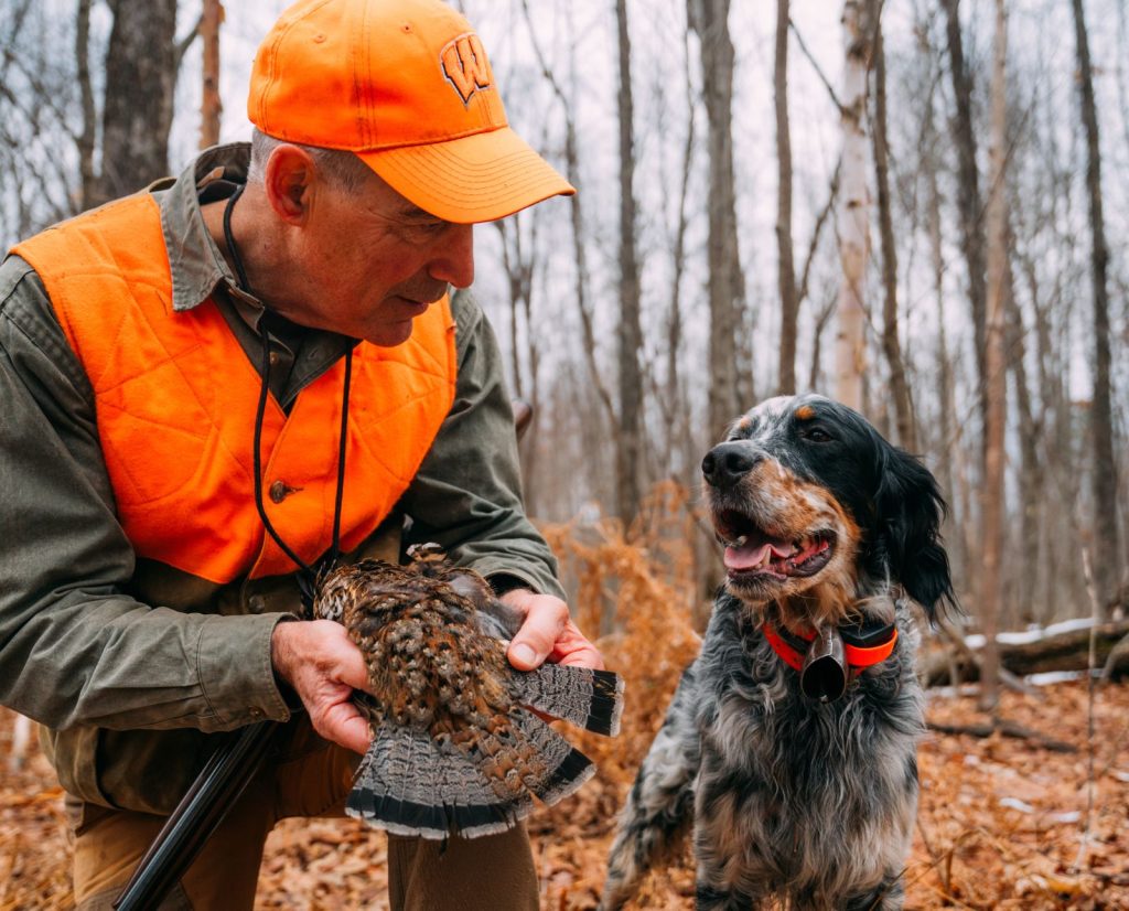 Upland author Mark Parman holds a ruffed grouse next to his English setter in Wisconsin.