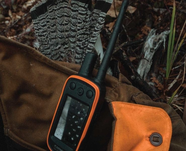 A Garmin Alpha GPS collar strapped a hunting vest. while grouse hunting