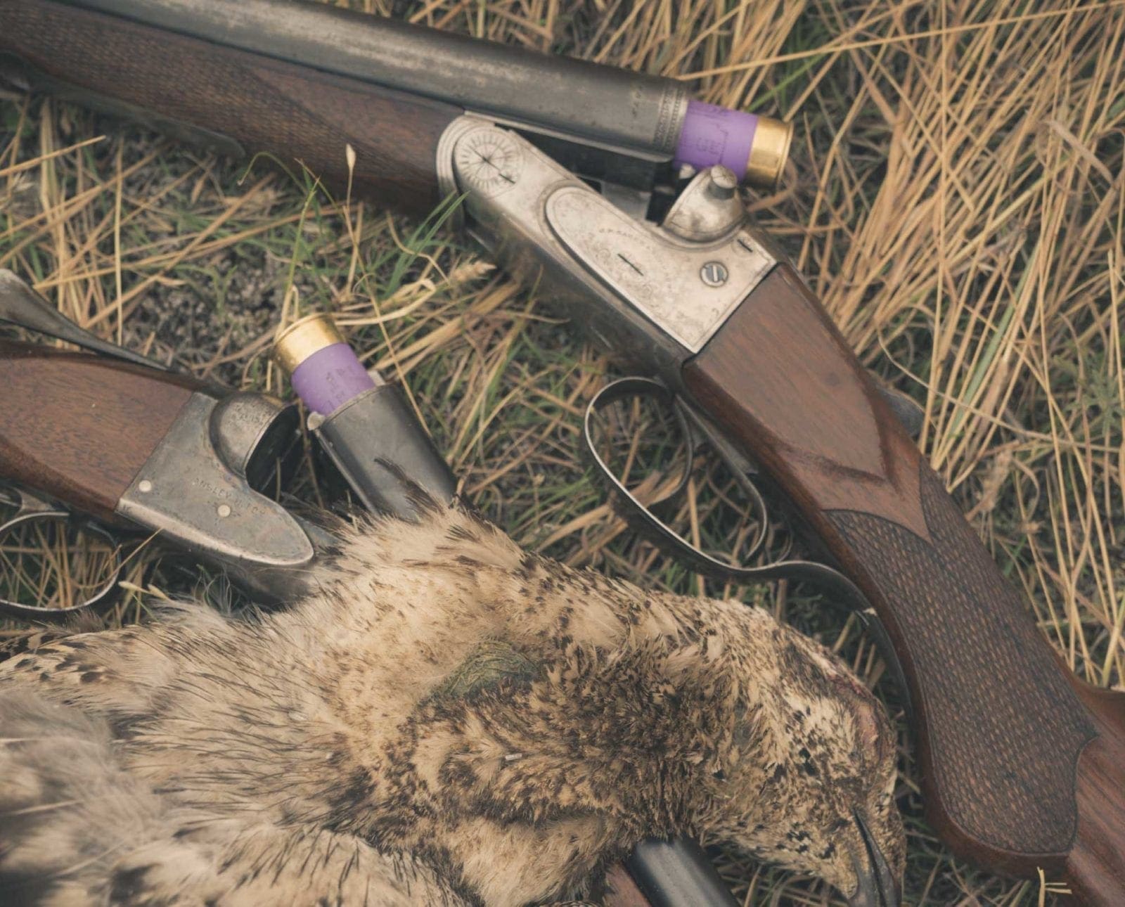 Two 16 gauge shotgun side bi side on a bird hunt.