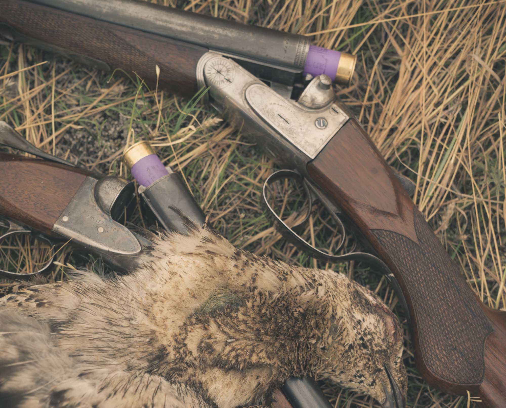 The History and Revival of the 16-Gauge Shotgun - Project Upland