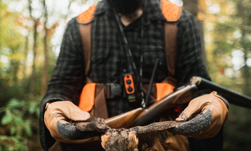A bird hunter woodcock hunting with an L.L. Bean strap vest. 