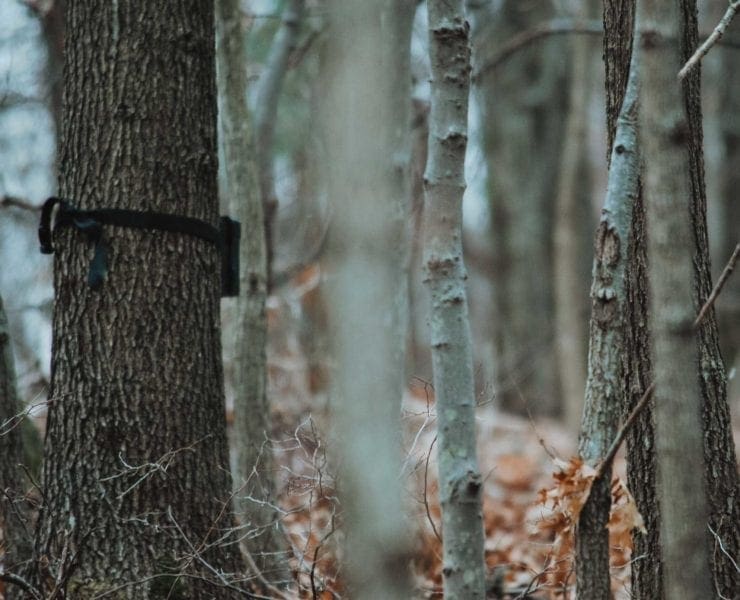 A turkey hunter checks trail camera pictures while scouting.