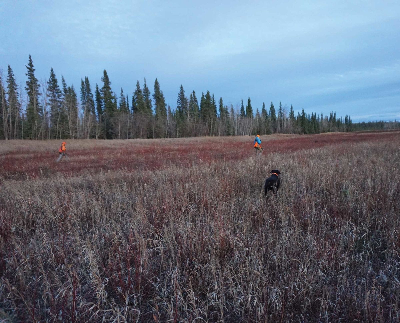 Hunters walk an Alaskan landscape in search of fire birds