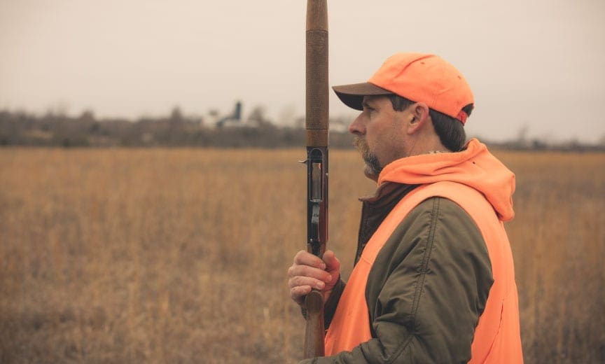 Kyle Hedges hunting bobwhite in a field. 