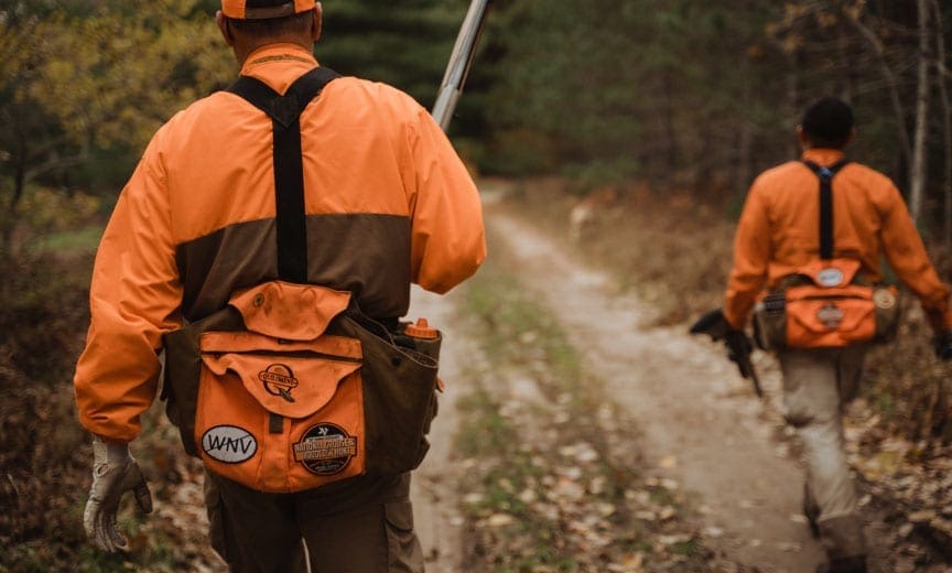 Two grouse hunters in Michigan hunting with flushing dogs.
