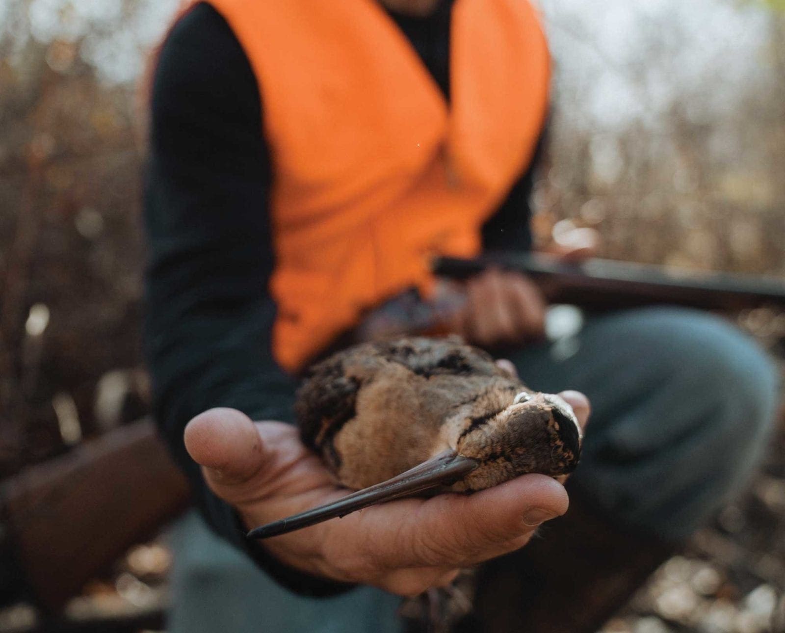A bird hunter in Connecticut
