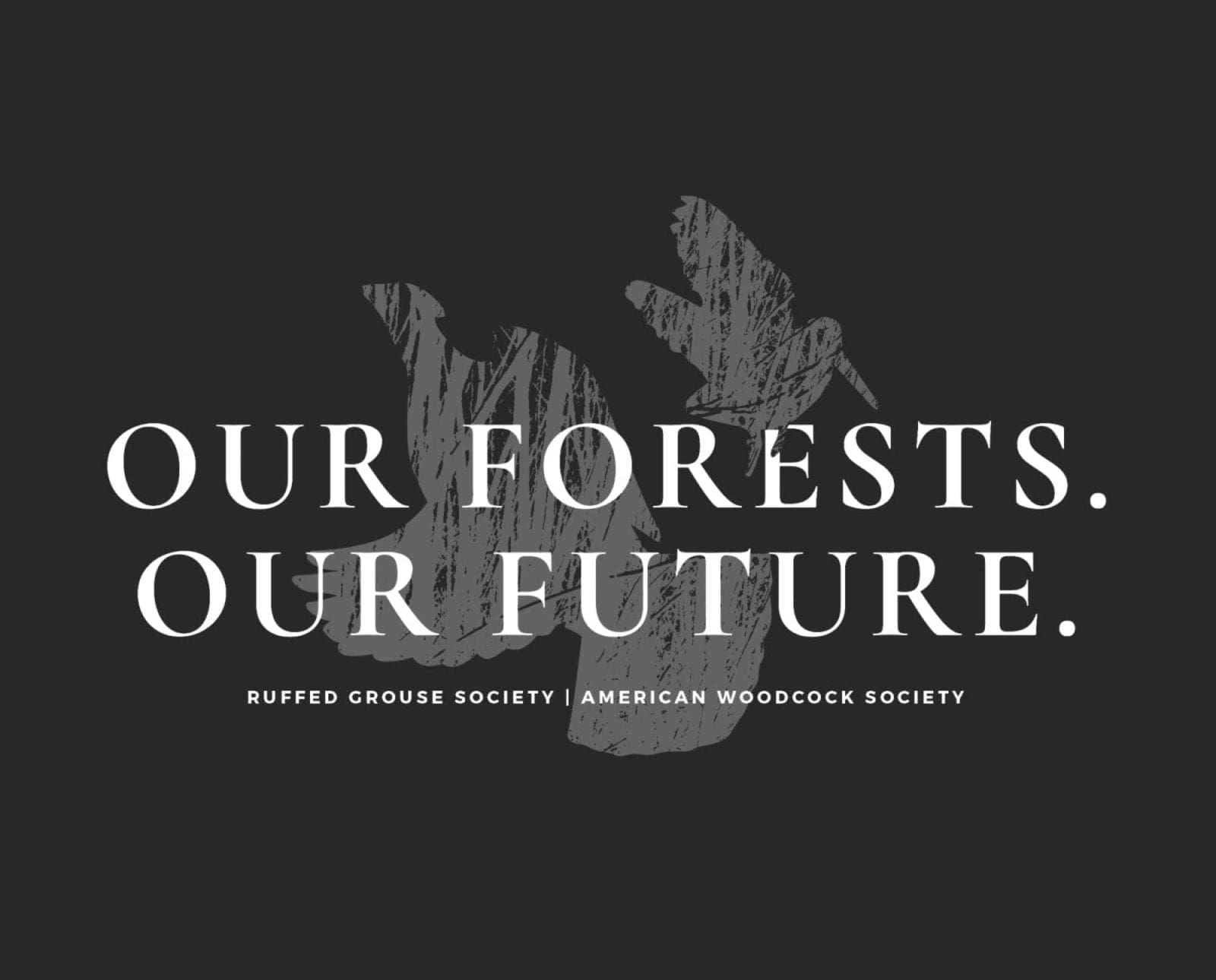 Our Forests, Our Future logo from Northwoods Collective
